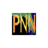 Progressive News Network