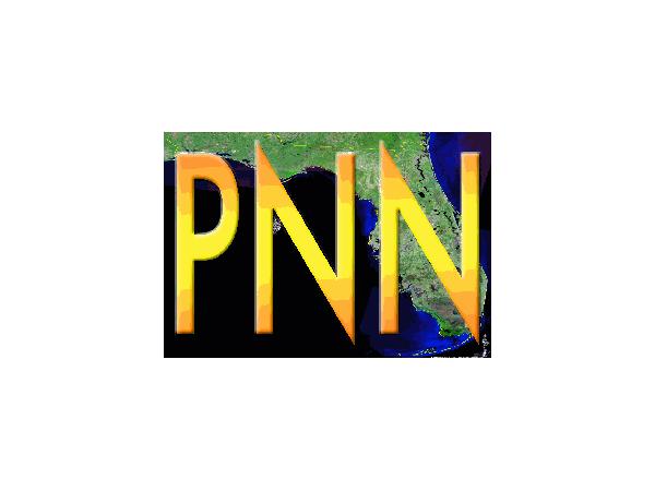 Progressive News Network