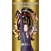 Turnbuckle Turmoil