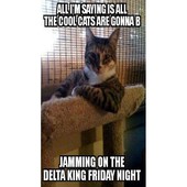 Wise Words with OneGone