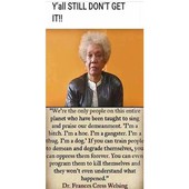 Wise Words with OneGone