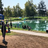 Wise Words with OneGone