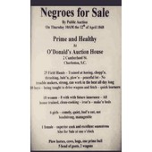 Wise Words with OneGone