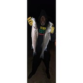 Wise Words with OneGone