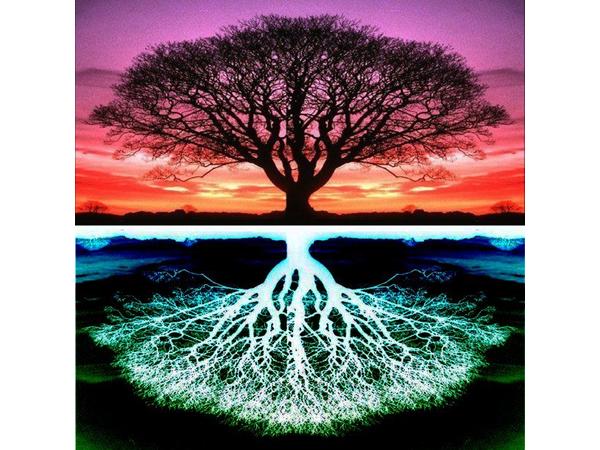 Sacred Embers
