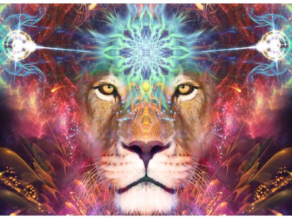 Sacred Embers