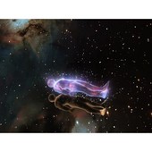 Sacred Embers