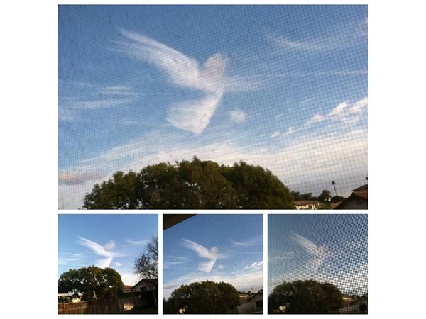 DO YOU OVERLOOK THE SIGNS FROM LOVED ONES  TRYING TO SEND YOU FROM HEAVEN ? episode artwork