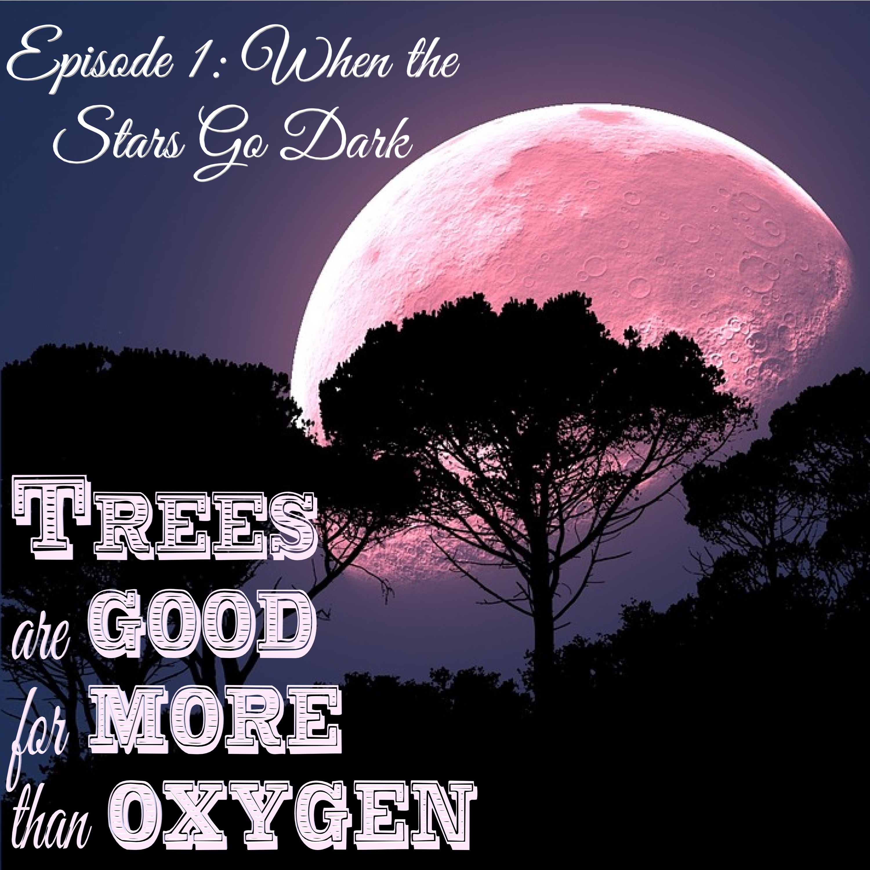 Episode 1: When the Stars Go Dark