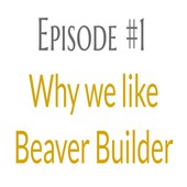 WP Builds