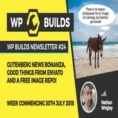 WP Builds