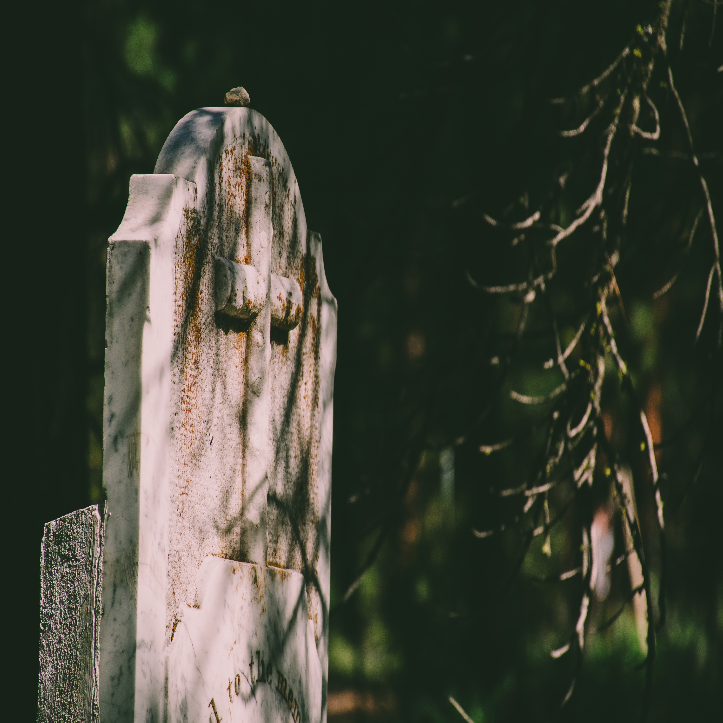 Doorway To Nightmare