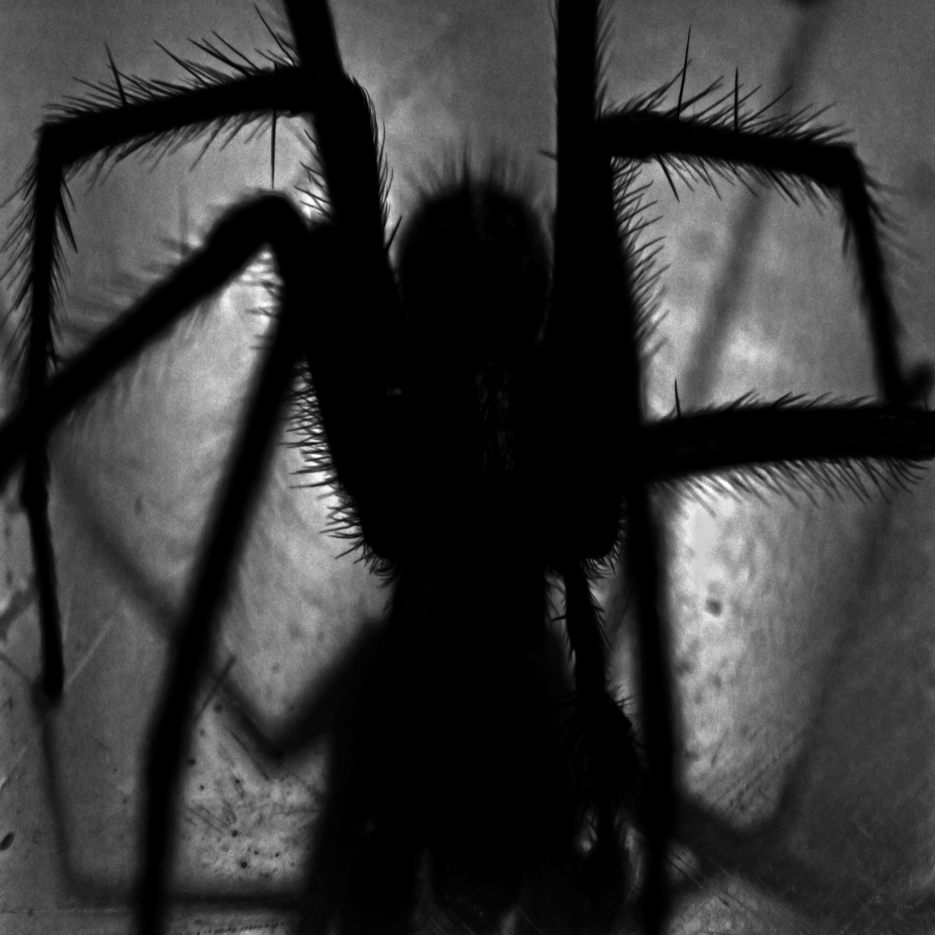 Doorway To Nightmare