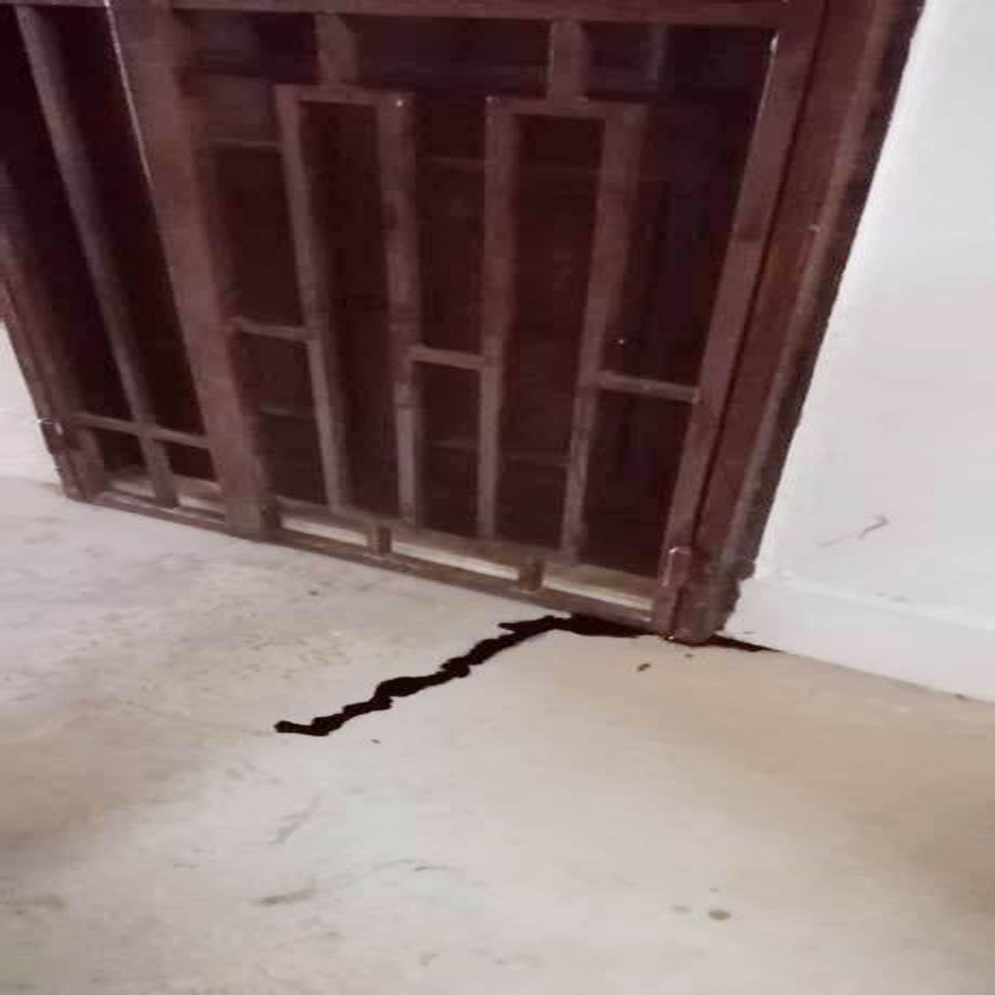 Doorway To Nightmare