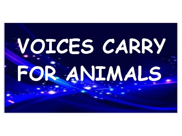 Marti Oakley & TS Radio