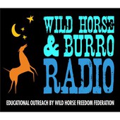 Marti Oakley & TS Radio