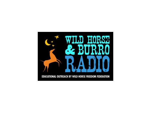 Marti Oakley & TS Radio