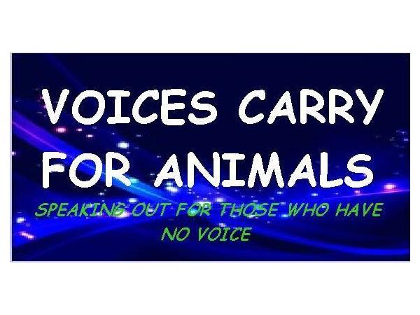 Marti Oakley & TS Radio