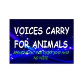 Marti Oakley & TS Radio