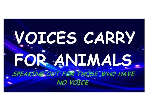 Marti Oakley & TS Radio