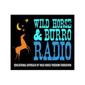 Marti Oakley & TS Radio