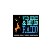 Marti Oakley & TS Radio