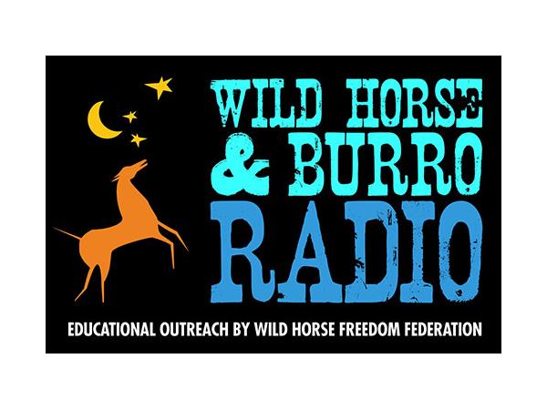 Marti Oakley & TS Radio