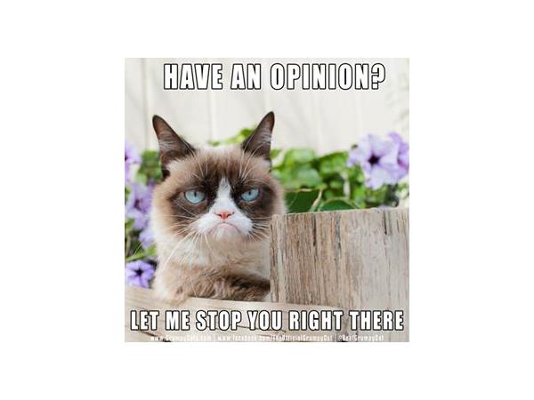 Marti Oakley & TS Radio