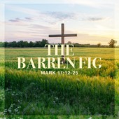 Teaching in the Word