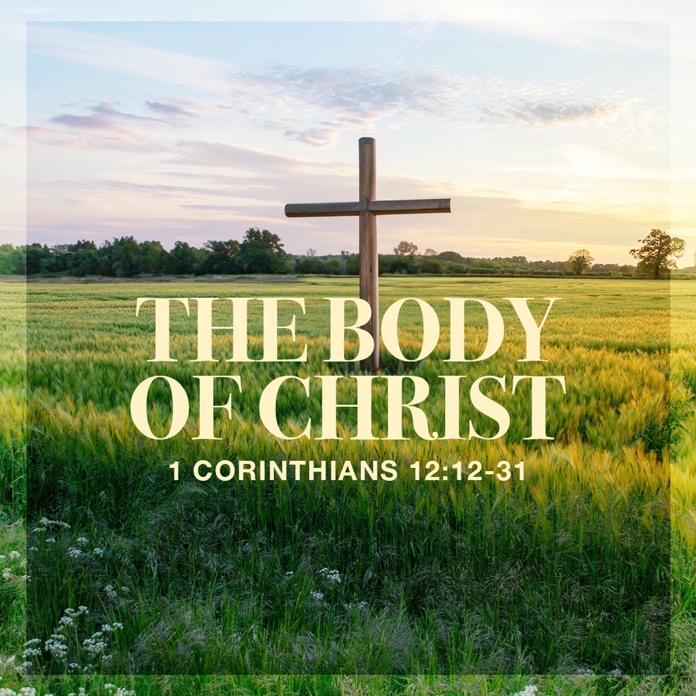The Story of Scripture: New Testament | The Body of Christ