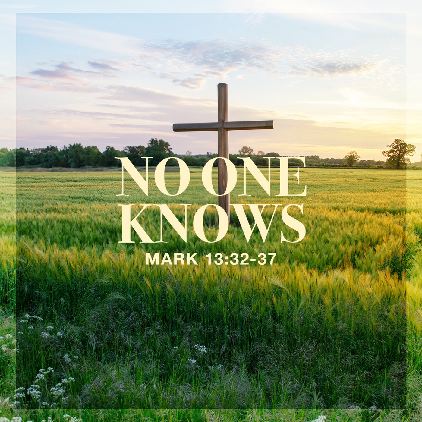 The Story of Scripture: New Testament | No One Knows