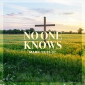 Teaching in the Word