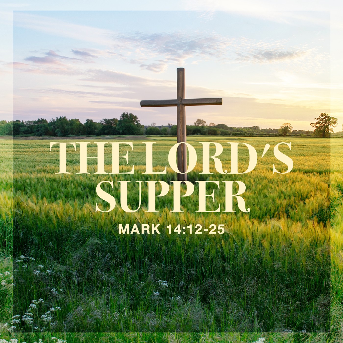 The Story of Scripture: New Testament | The Lord's Supper