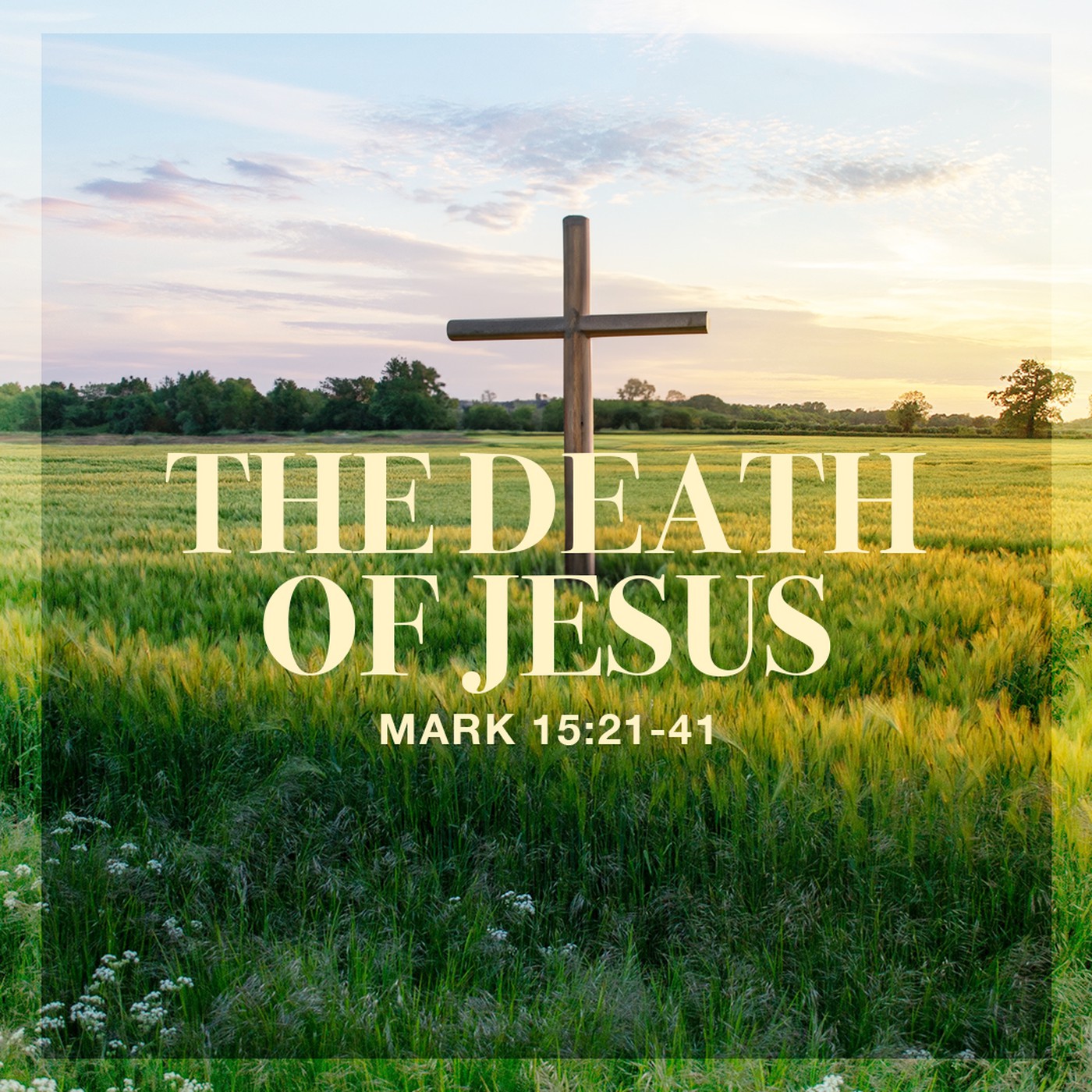 The Story of Scripture: New Testament | The Death of Jesus