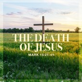 Teaching in the Word