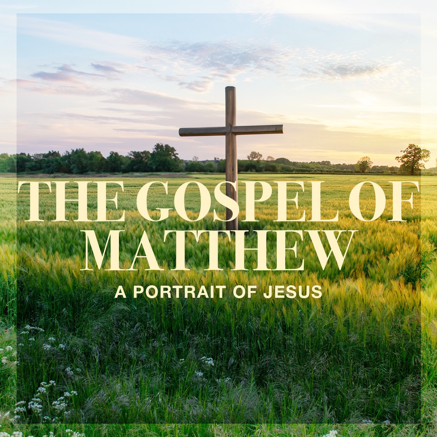 The Story of Scripture: New Testament | The Gospel of Matthew: A Portrait of Jesus