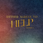 Teaching in the Word
