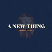 Teaching in the Word