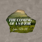 Teaching in the Word