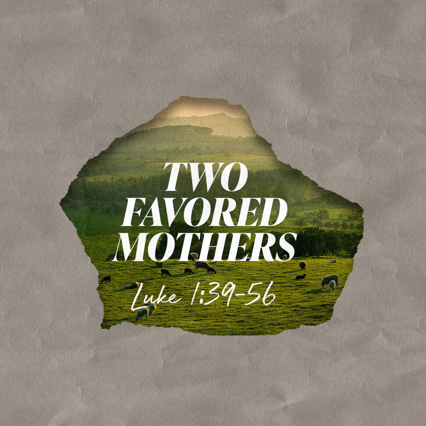 Luke: The Ministry of Jesus | Two Favored Mothers