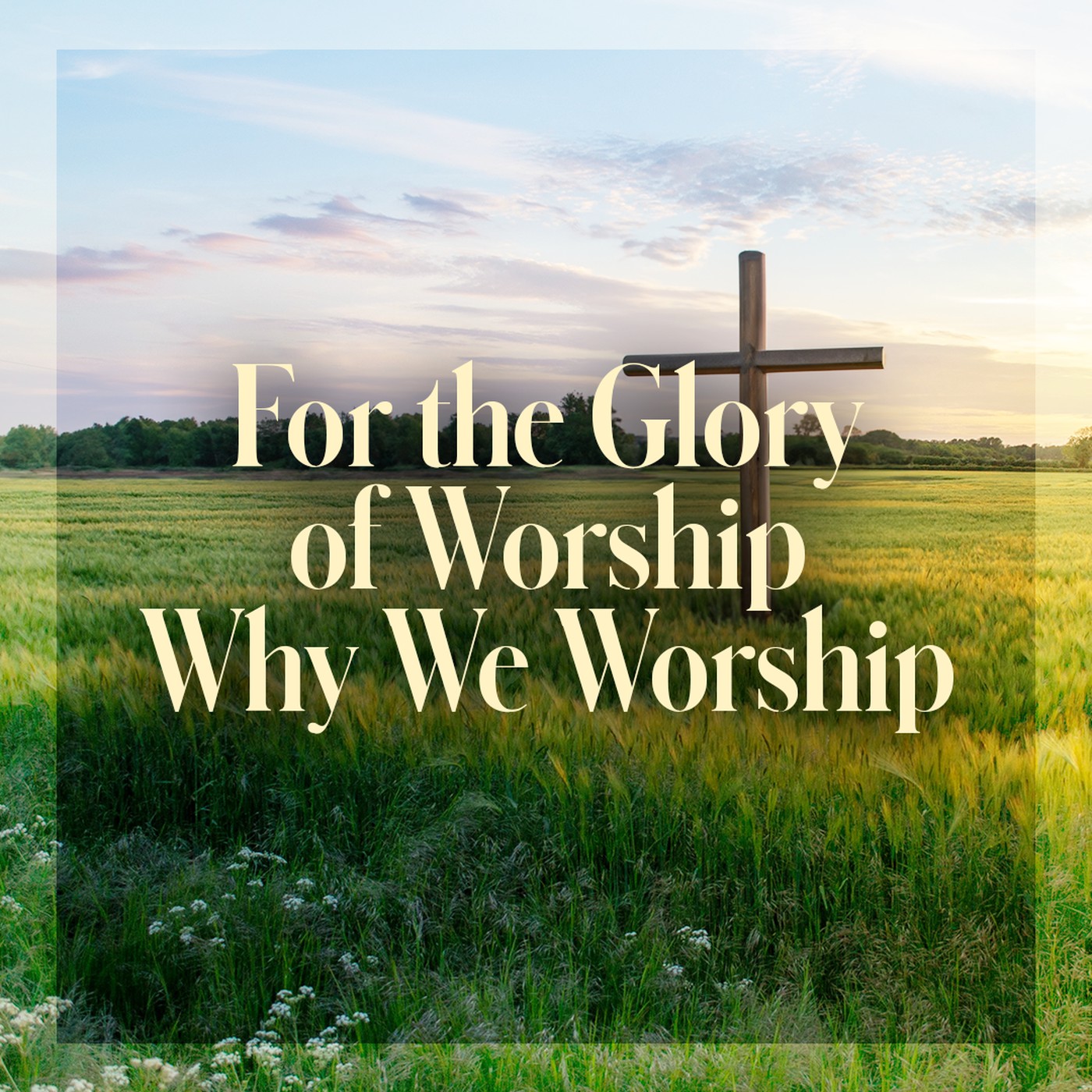 The Story of Scripture: New Testament | Why We Worship