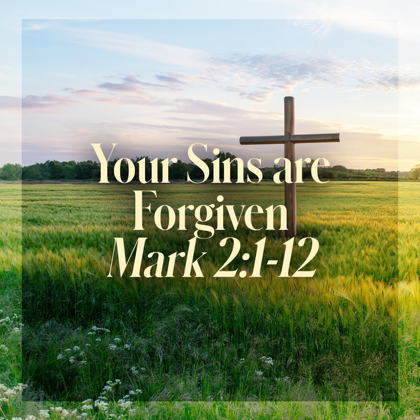 The Story of Scripture: New Testament | Your Sins are Forgiven