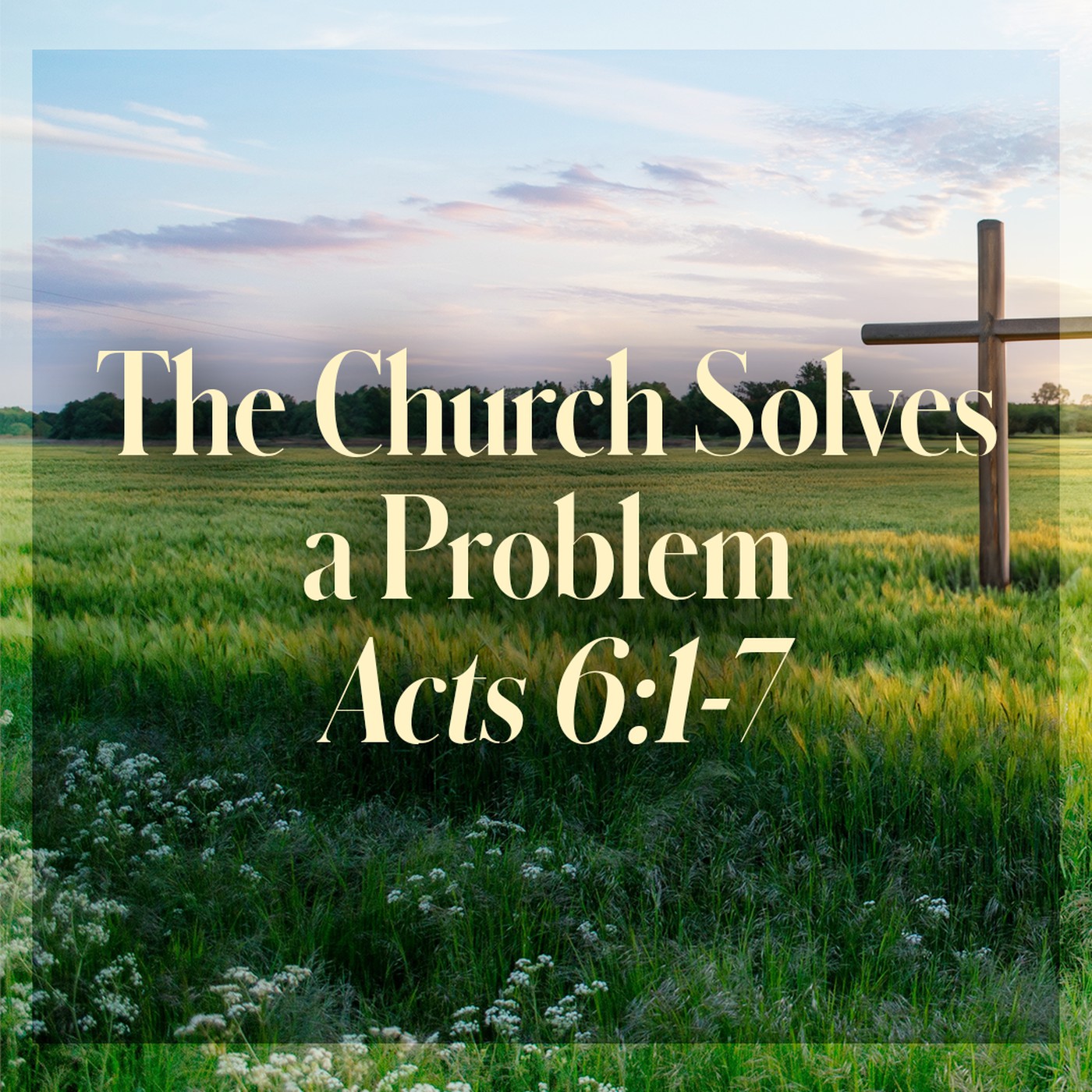 The Story of Scripture: New Testament | The Church Solves a Problem