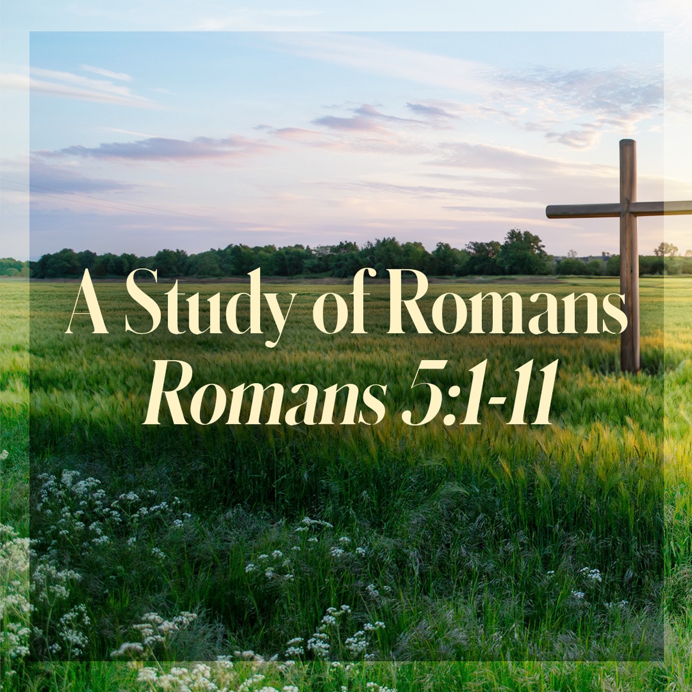 The Story of Scripture: New Testament | A Study of Romans