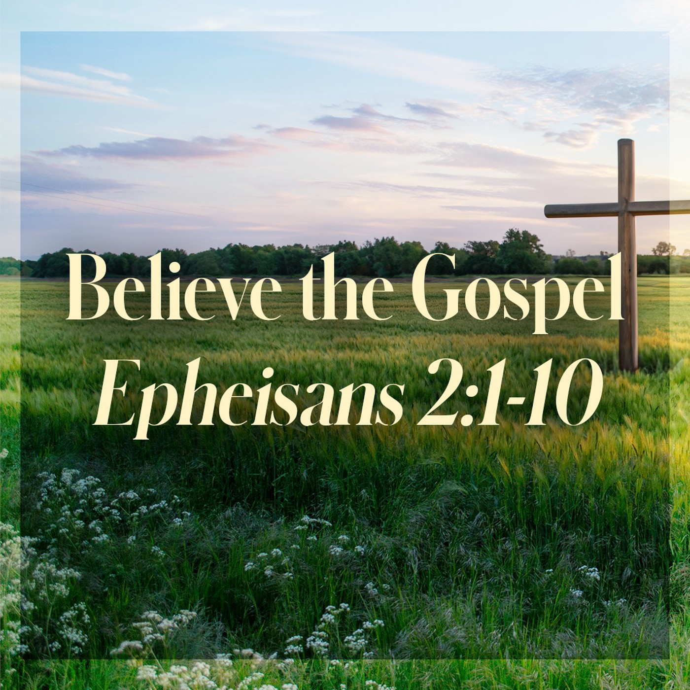 The Story of Scripture: New Testament | Believe the Gospel
