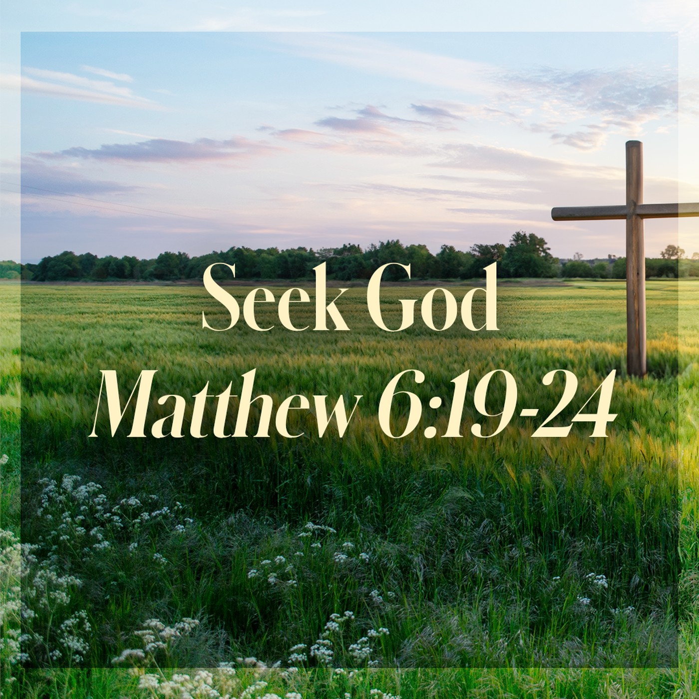The Story of Scripture: New Testament | Seek God