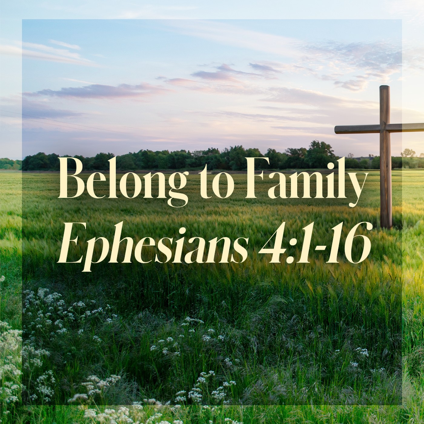 The Story of Scripture: New Testament | Belong to Family