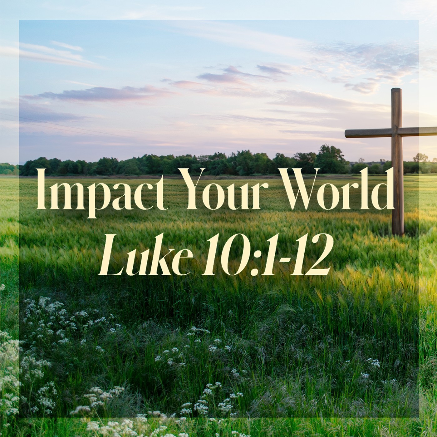 The Story of Scripture: New Testament | Impact Your World