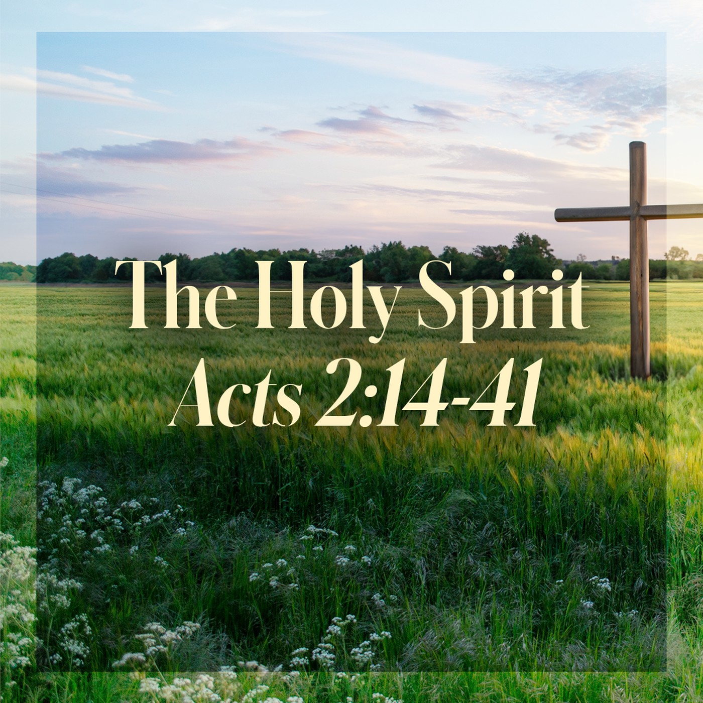 The Story of Scripture: New Testament | The Holy Spirit