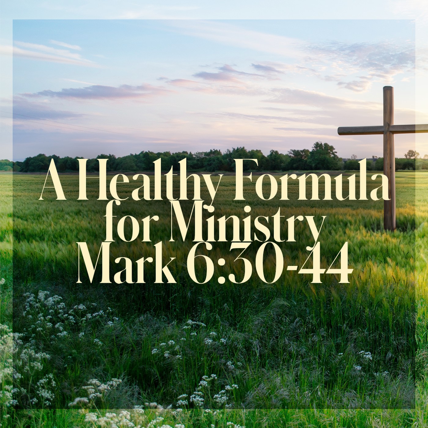 The Story of Scripture: New Testament | A Healthy Formula for Ministry
